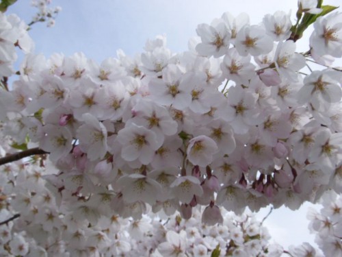 2012050609