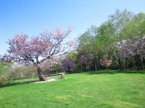 2012051709