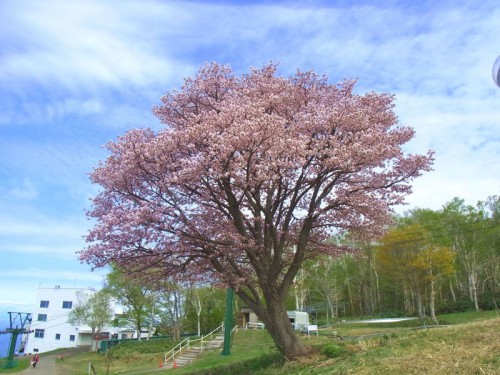 2012051903