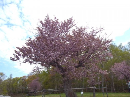 2012051904