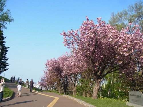 2012052104