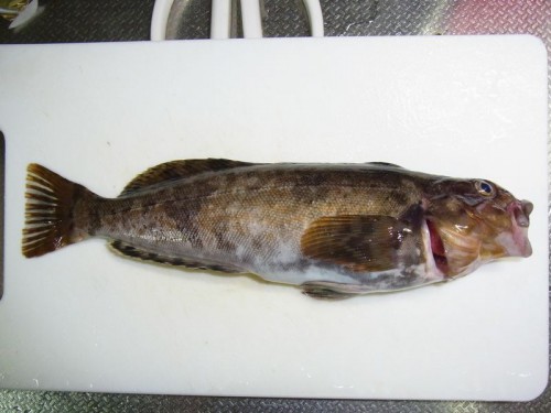 2012052606