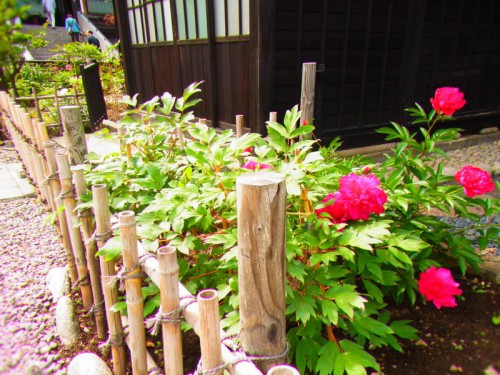 2012062506