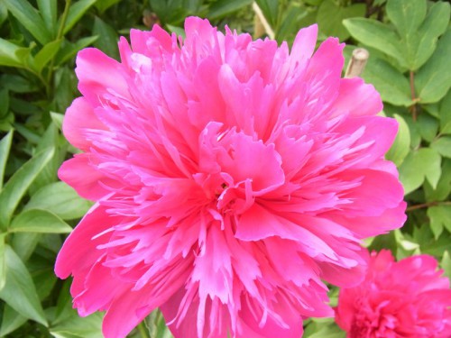 2012062508