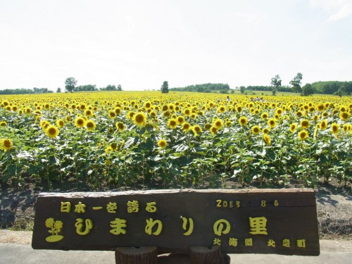 2013080503