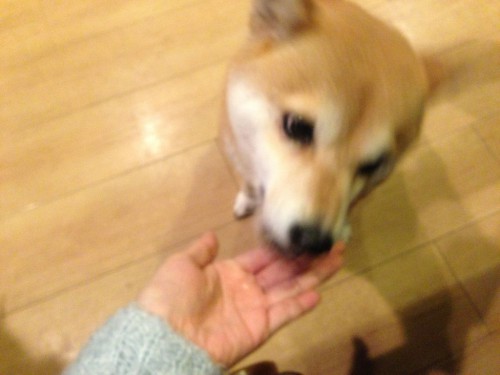 2014012101