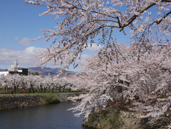 2014050308