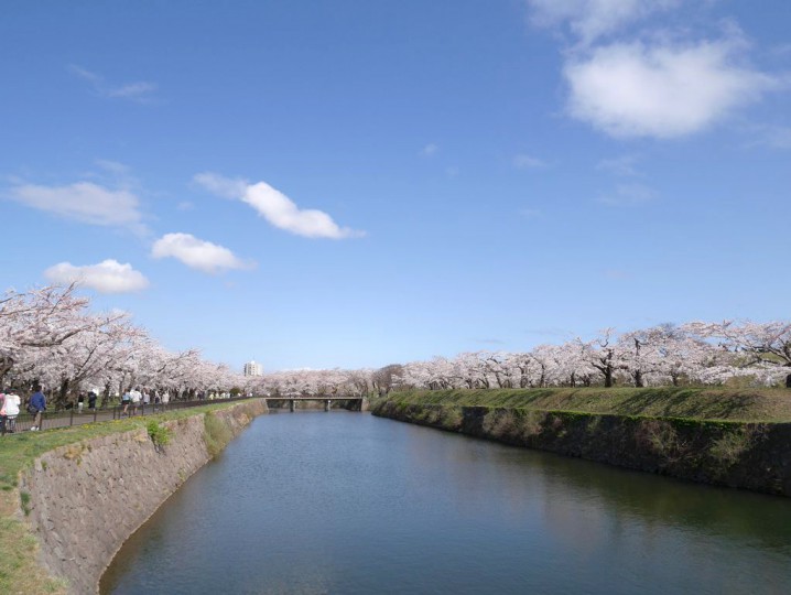 2014050309