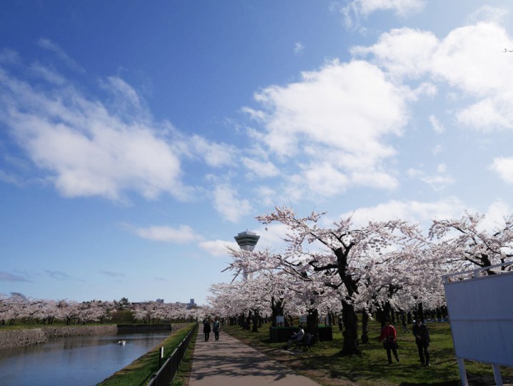 2014050310