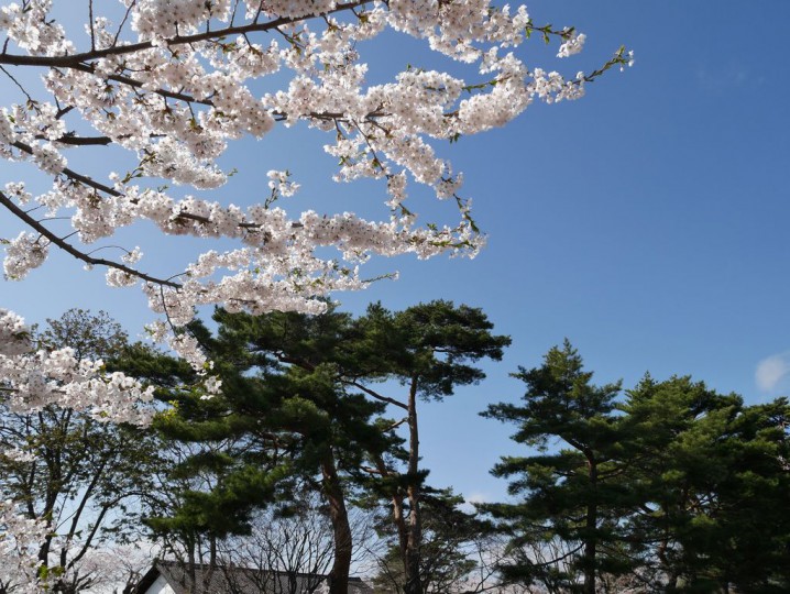 2014050312