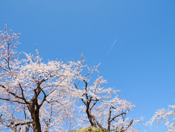 2014050313