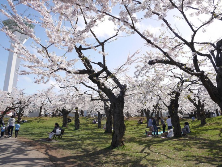 2014050314