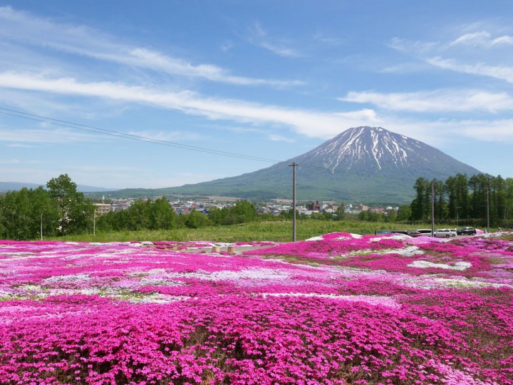 2014060203