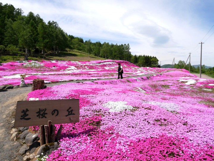 2014060205