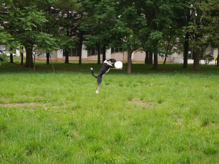 2014060914