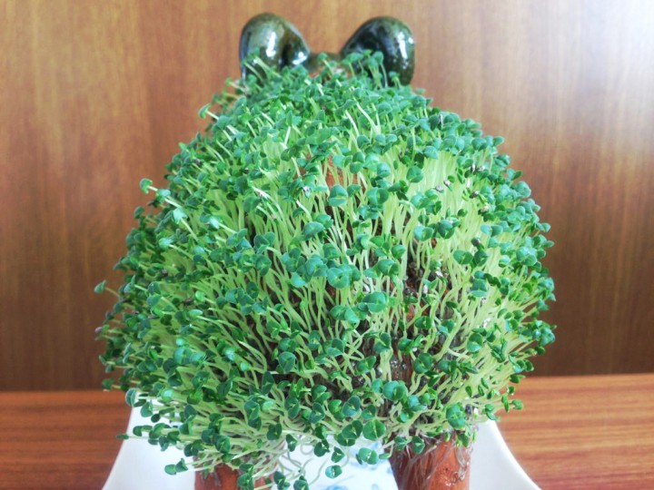 2014061705