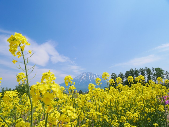 20150504