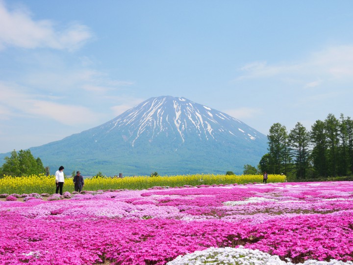20150505